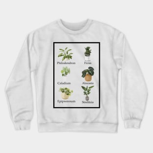 Favourite Houseplants Crewneck Sweatshirt